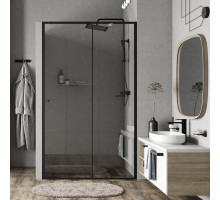 WasserKRAFT Dill 61S13 Душевая дверь